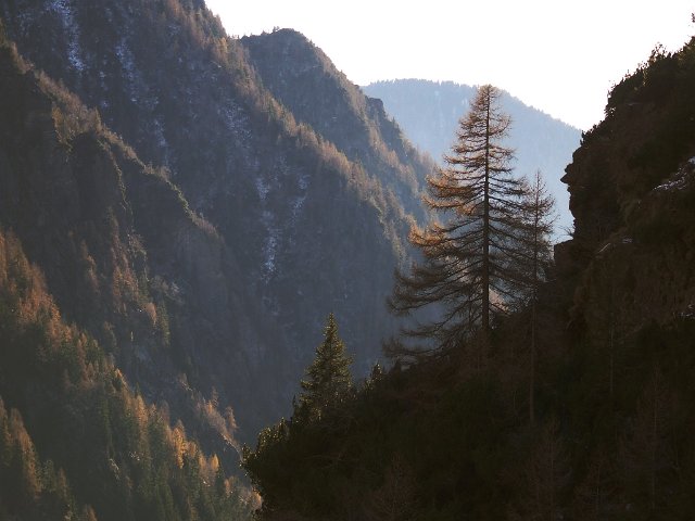 Laghi del Venerocolo (68)